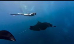 Snorkling trip 1